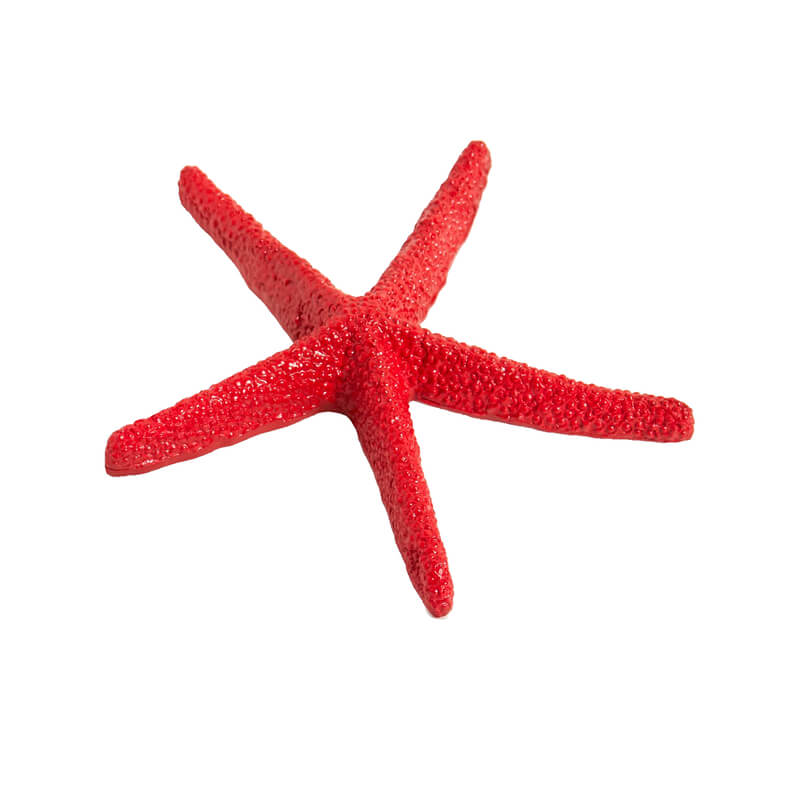 Red Starfish - Large